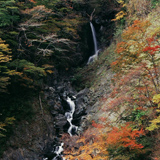 鯉ヶ滝（梅ケ島）